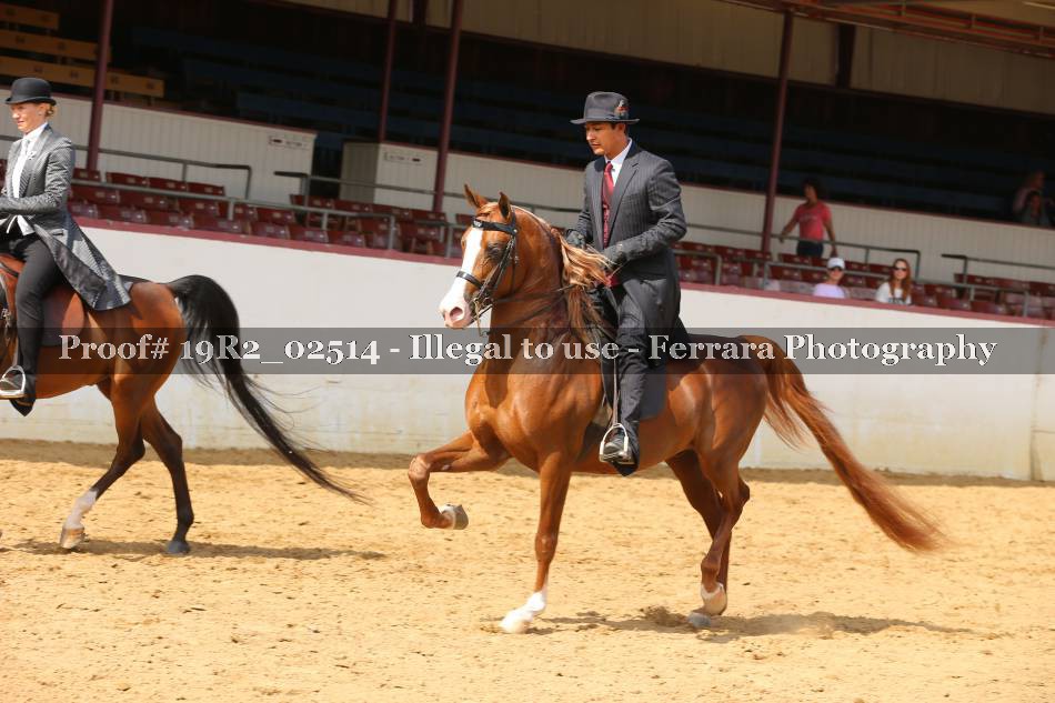 Proof 19R2_02514