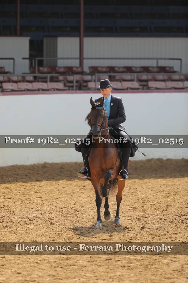 Proof 19R2_02515