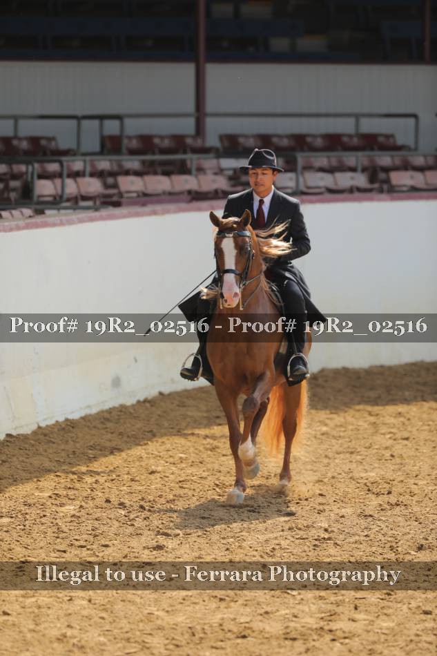 Proof 19R2_02516