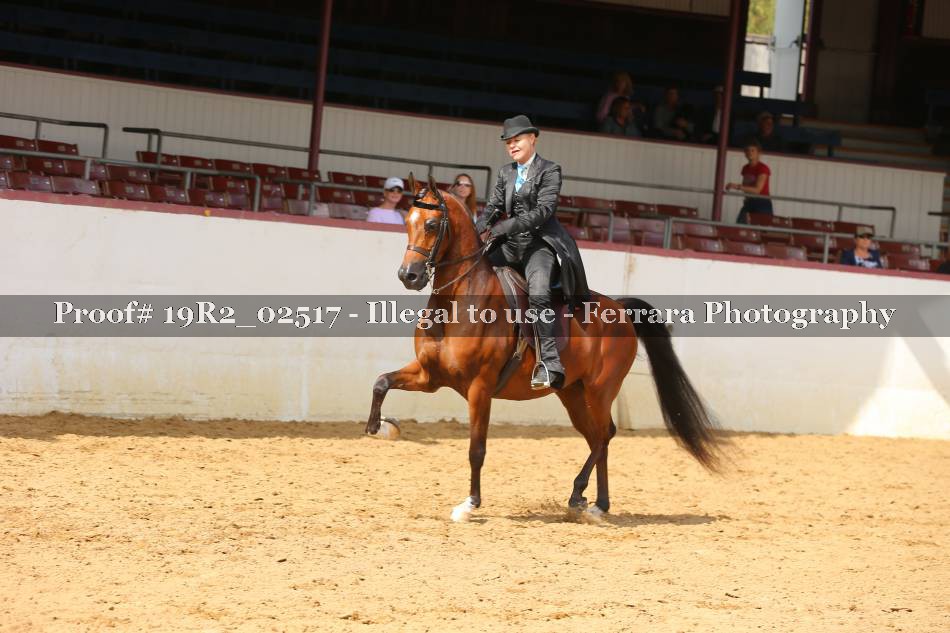 Proof 19R2_02517