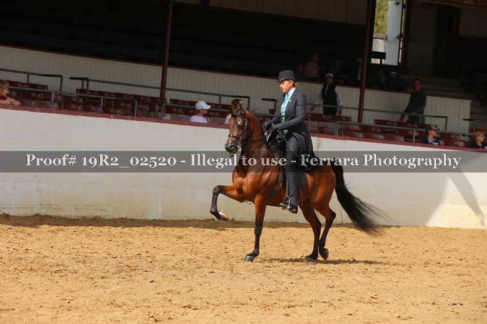 Proof 19R2_02520