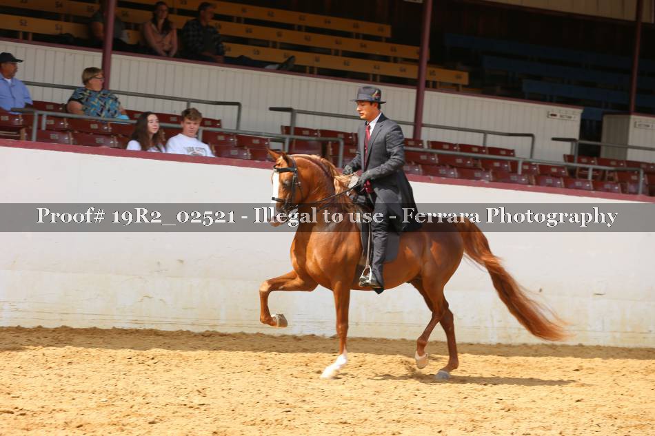 Proof 19R2_02521