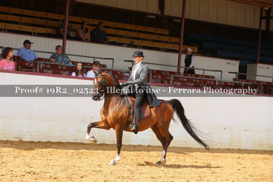 Proof 19R2_02523