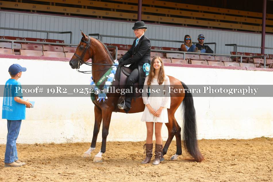 Proof 19R2_02525