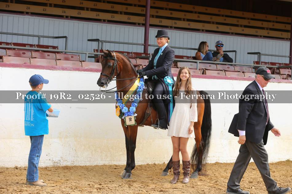 Proof 19R2_02526