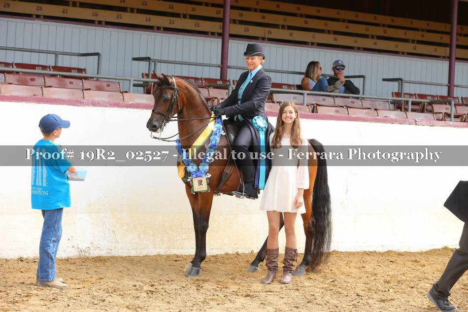 Proof 19R2_02527