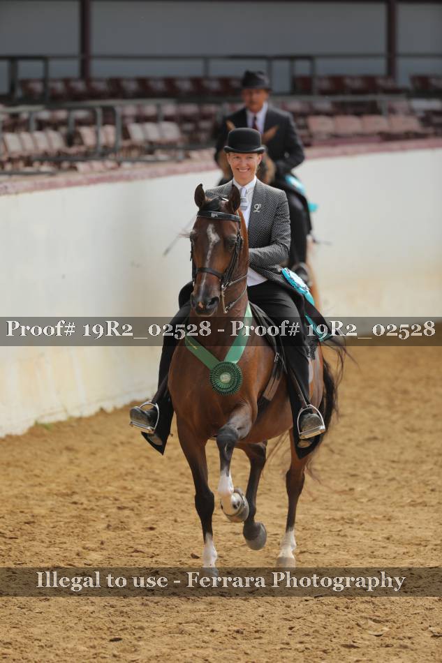 Proof 19R2_02528