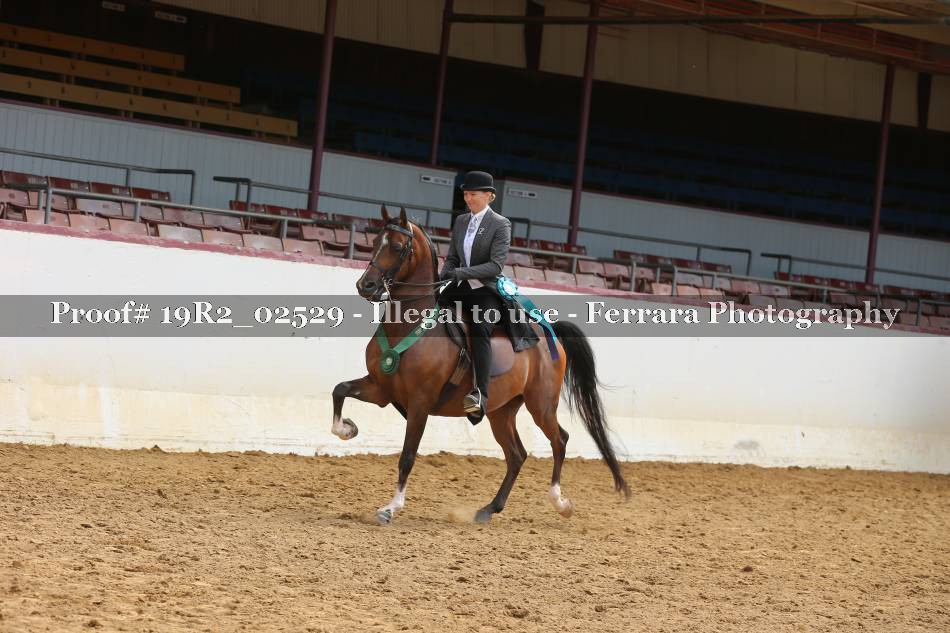 Proof 19R2_02529