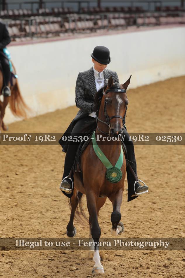 Proof 19R2_02530
