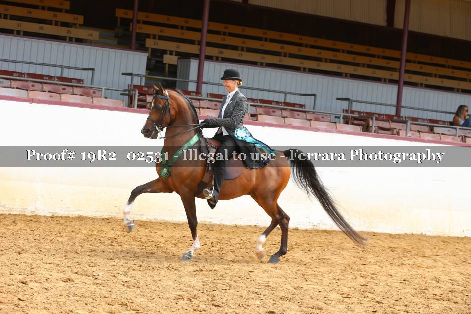 Proof 19R2_02531