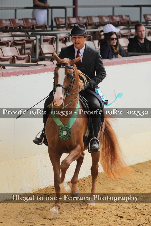 Proof 19R2_02532