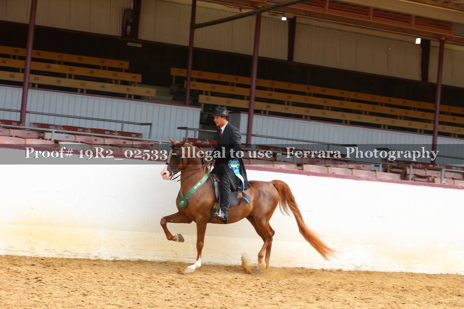 Proof 19R2_02533