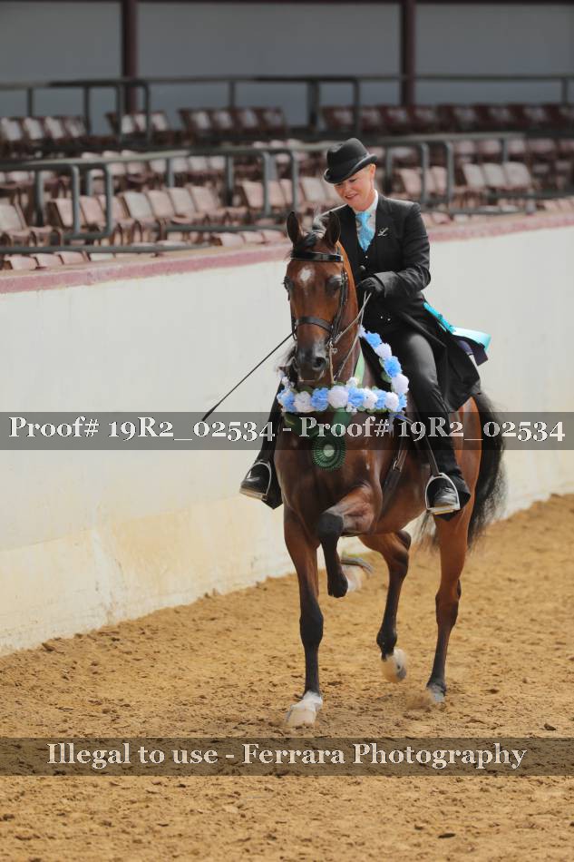 Proof 19R2_02534