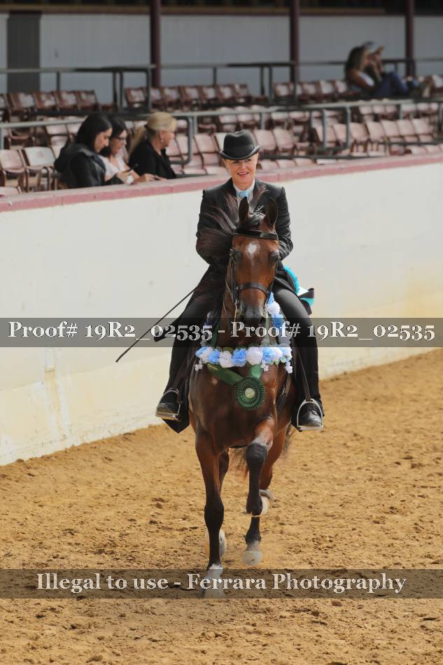 Proof 19R2_02535