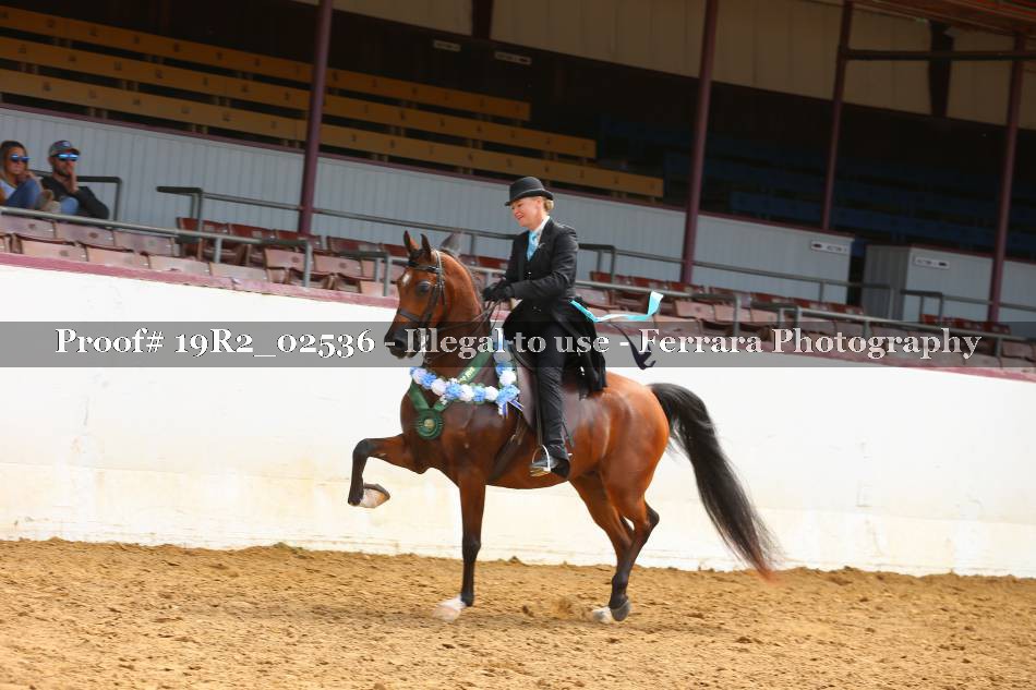 Proof 19R2_02536