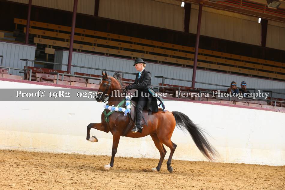 Proof 19R2_02537
