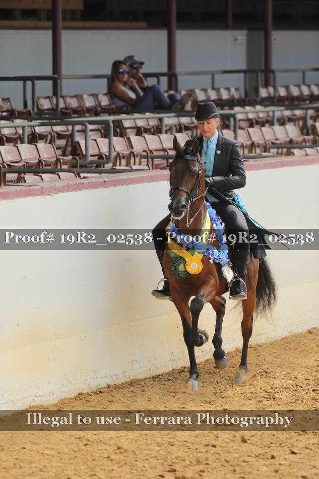 Proof 19R2_02538