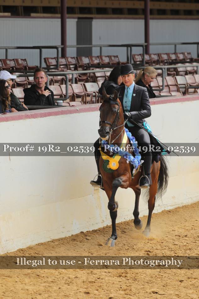 Proof 19R2_02539