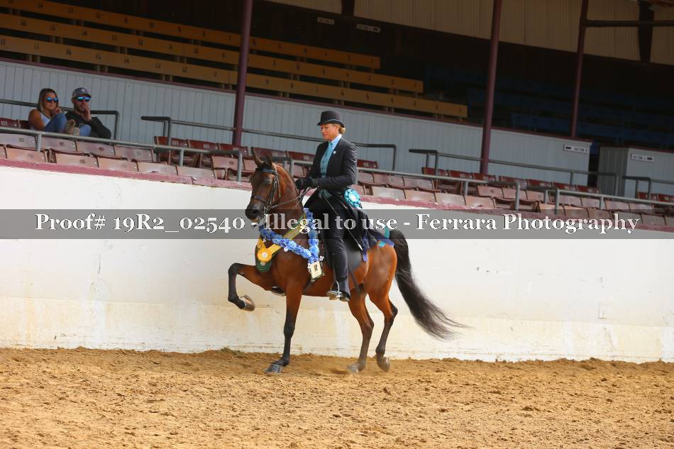 Proof 19R2_02540