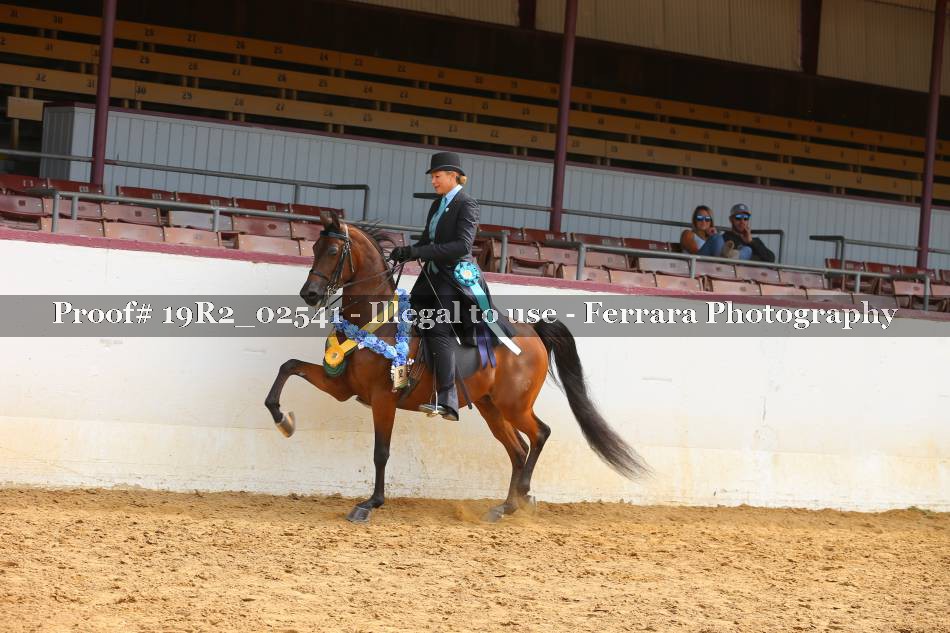 Proof 19R2_02541