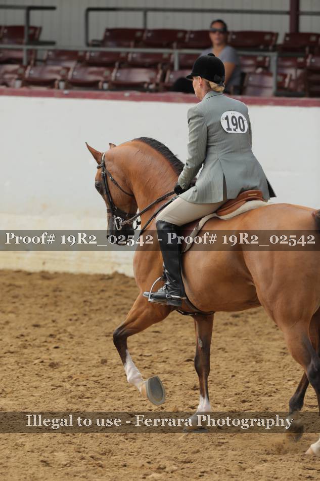 Proof 19R2_02542