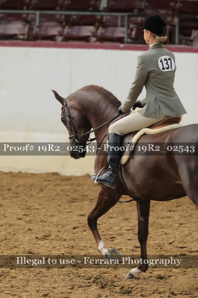 Proof 19R2_02543