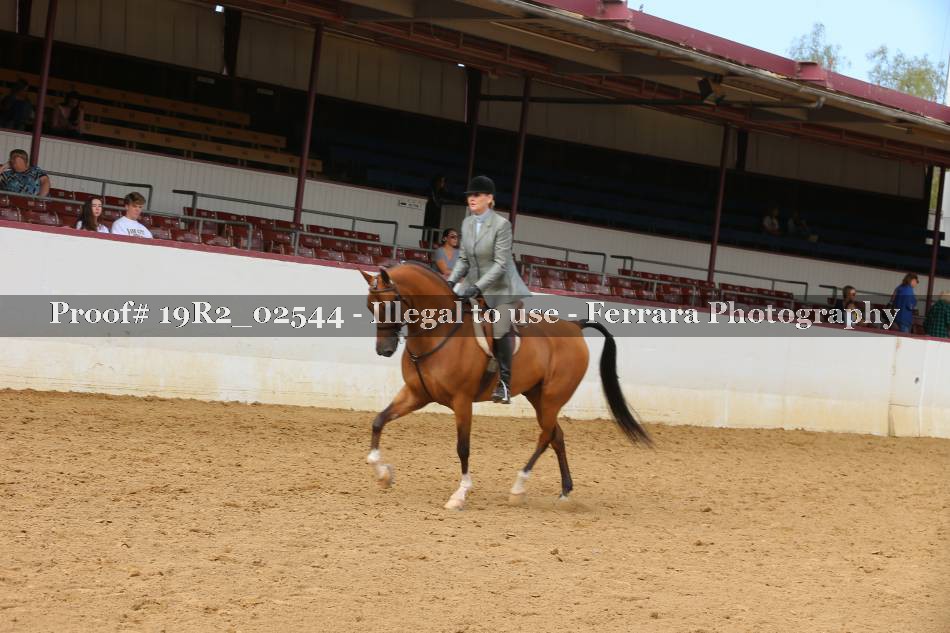 Proof 19R2_02544