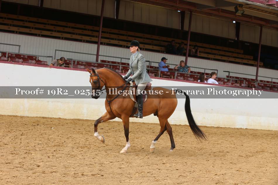 Proof 19R2_02545