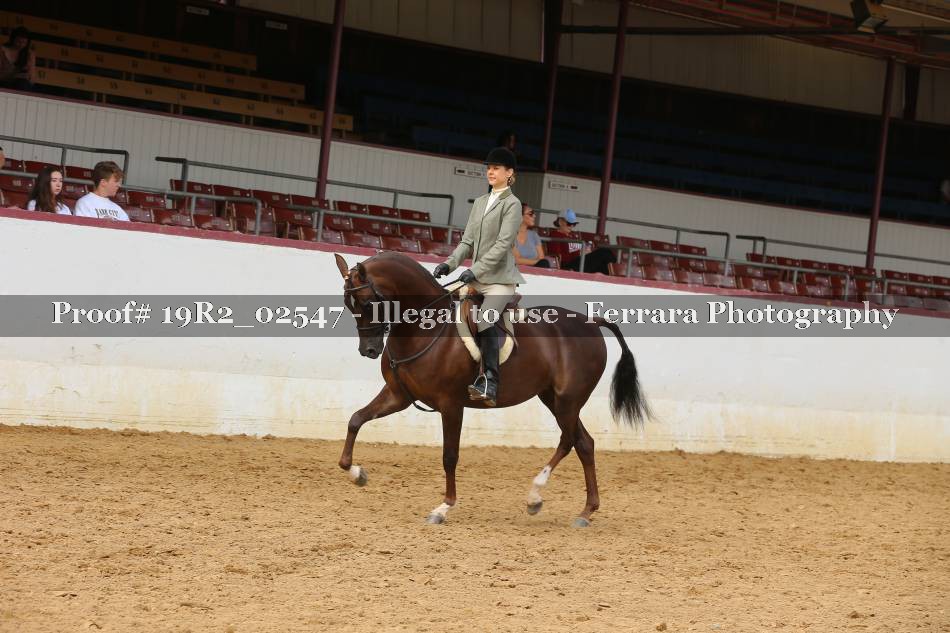 Proof 19R2_02547