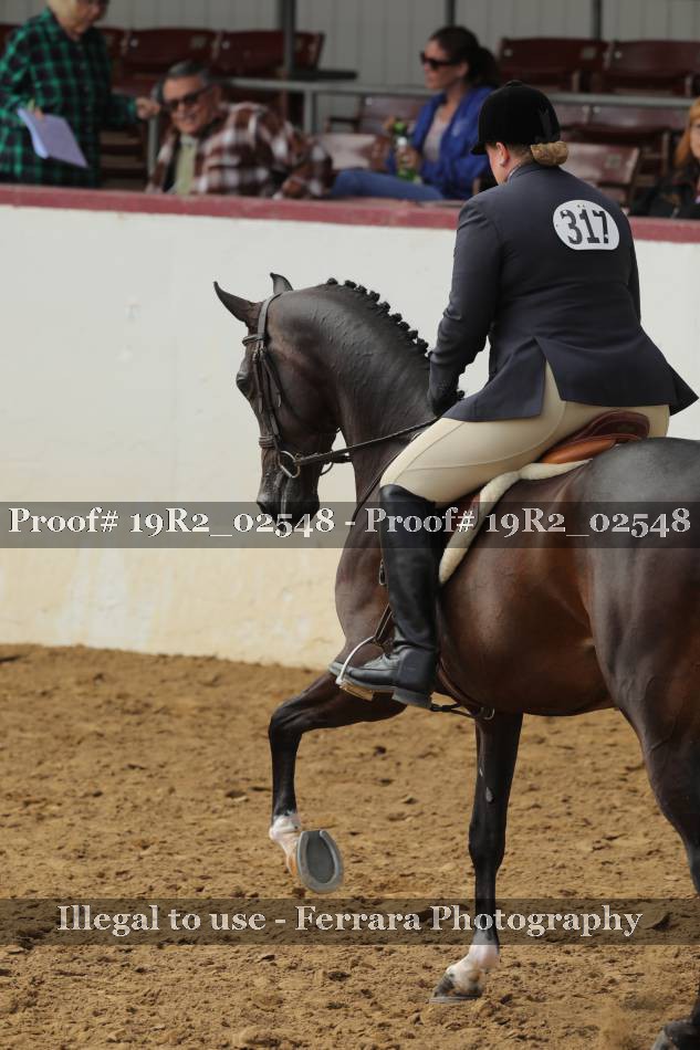Proof 19R2_02548