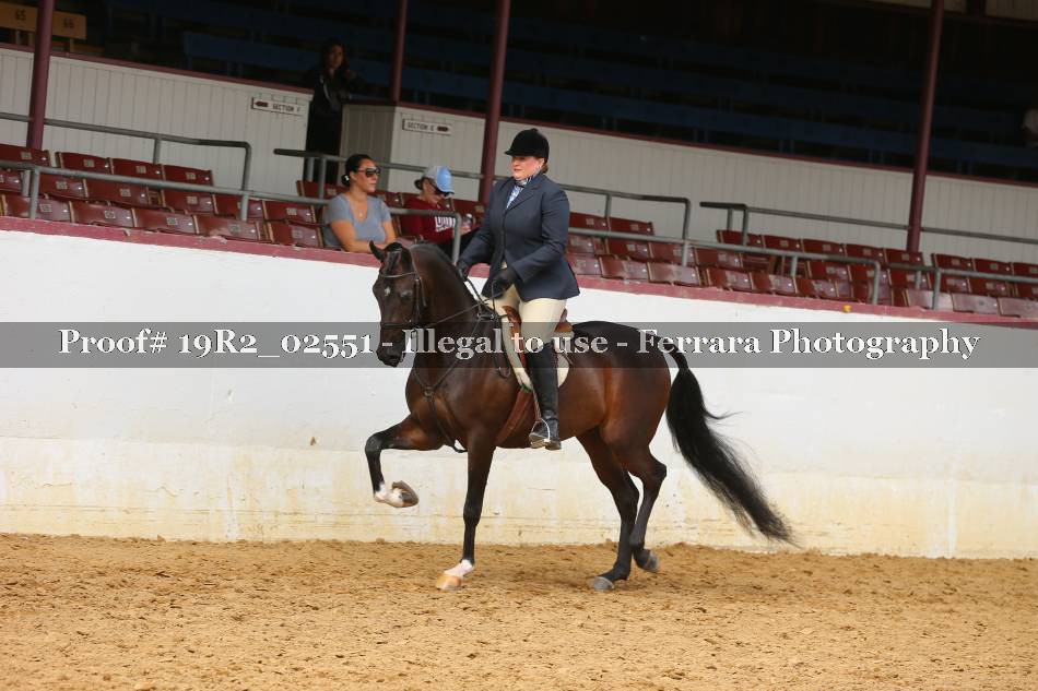 Proof 19R2_02551