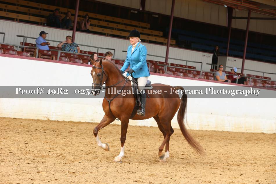 Proof 19R2_02557