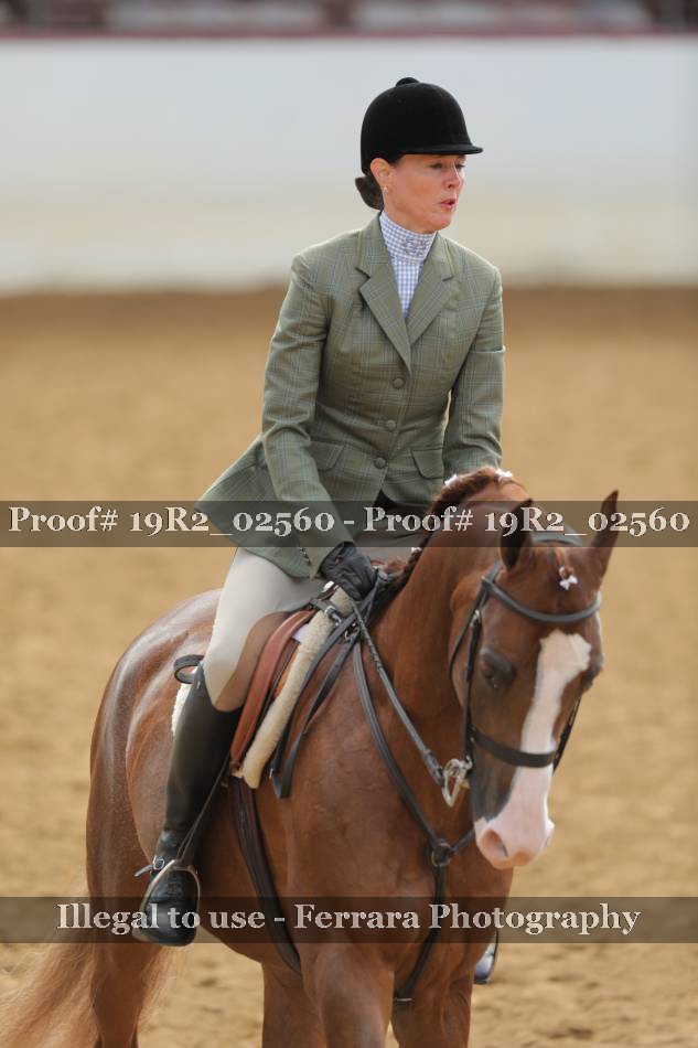Proof 19R2_02560
