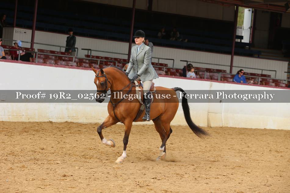 Proof 19R2_02562