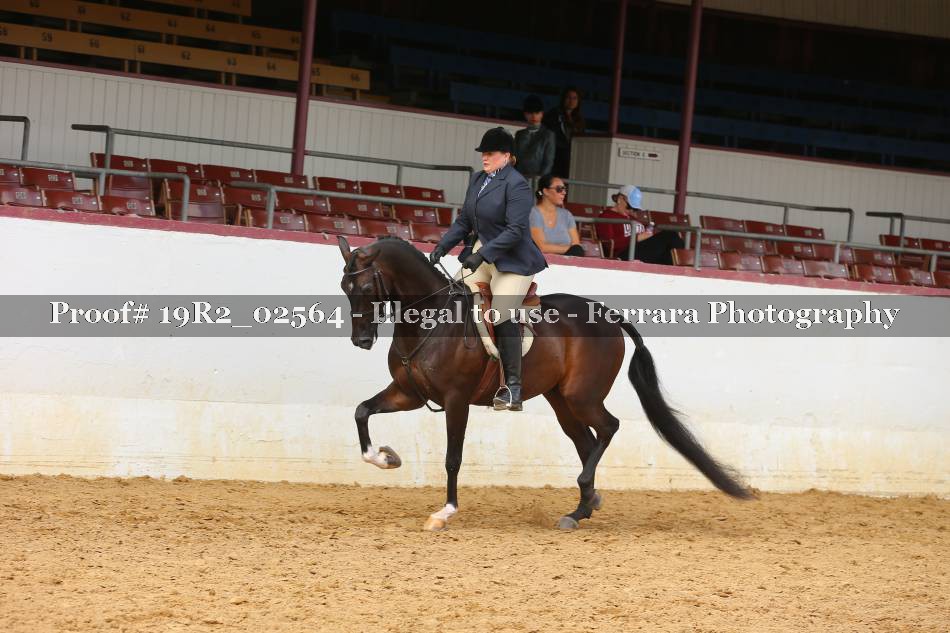 Proof 19R2_02564