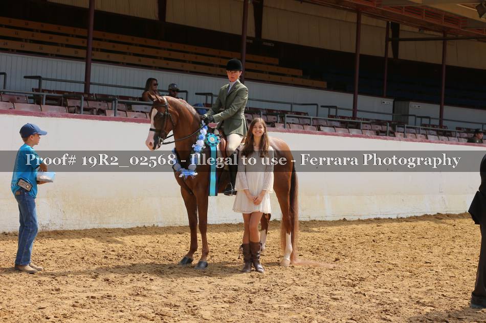 Proof 19R2_02568