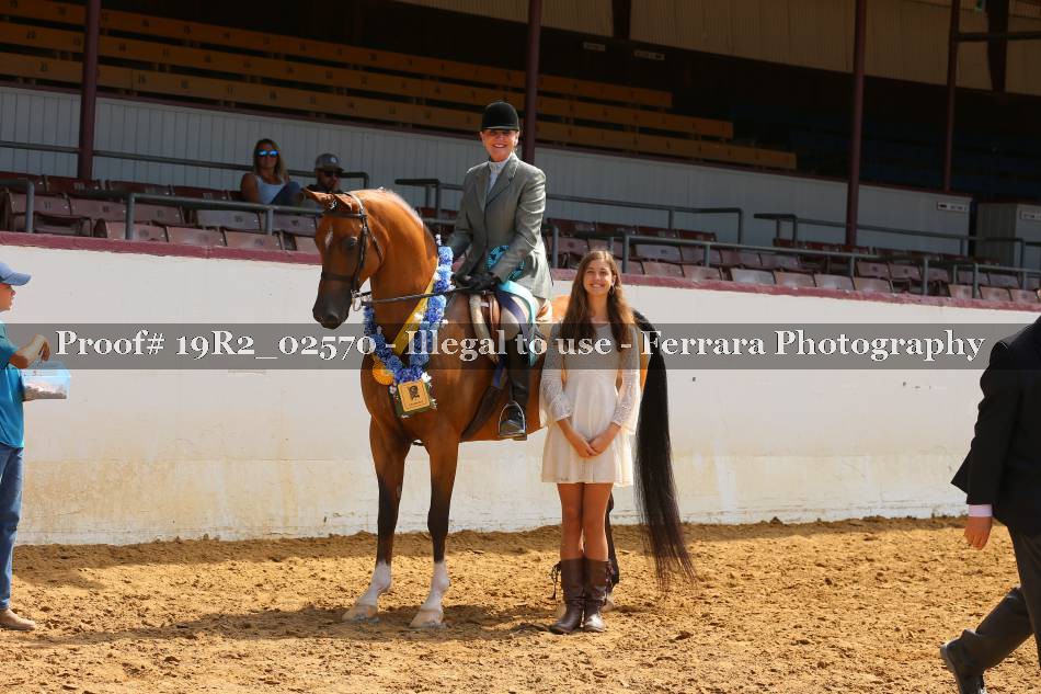 Proof 19R2_02570