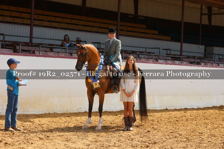 Proof 19R2_02571