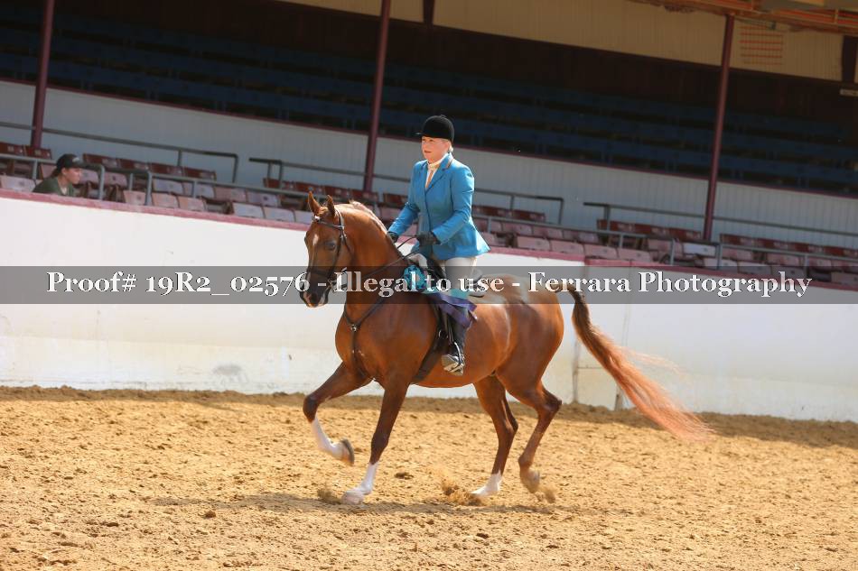 Proof 19R2_02576