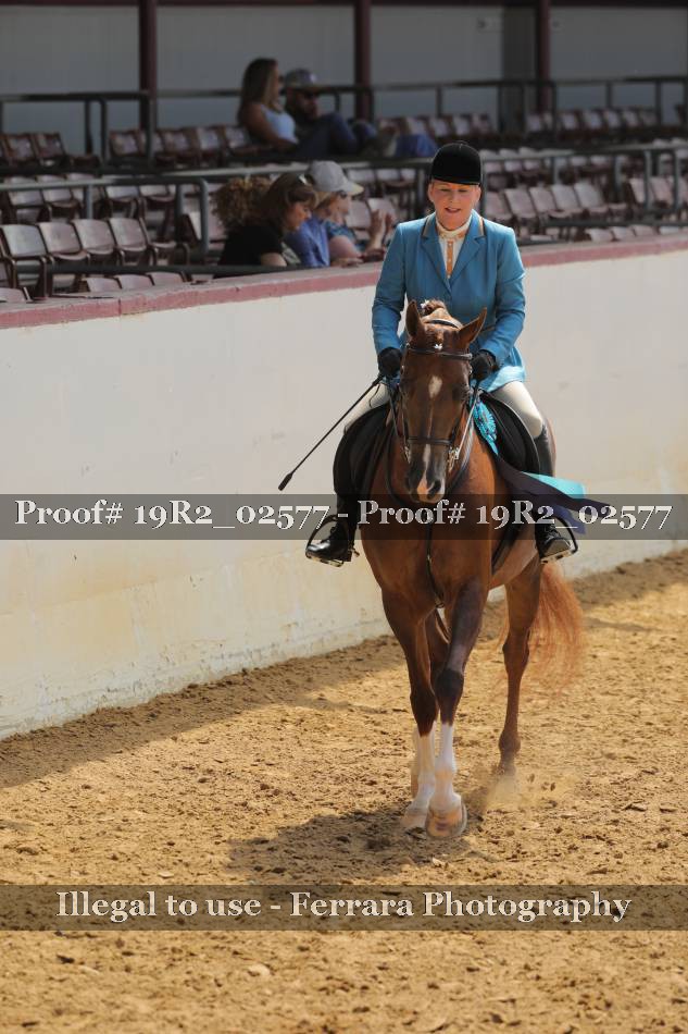 Proof 19R2_02577