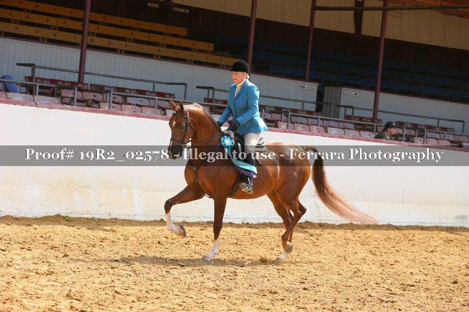 Proof 19R2_02578