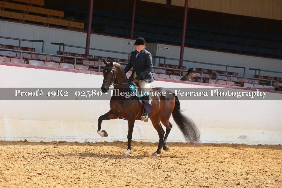 Proof 19R2_02580
