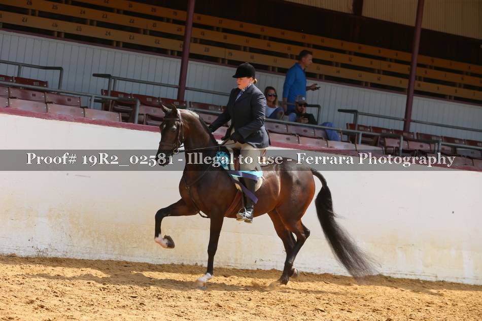Proof 19R2_02581