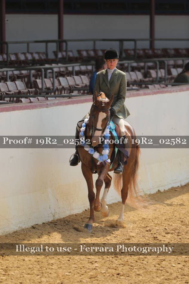Proof 19R2_02582