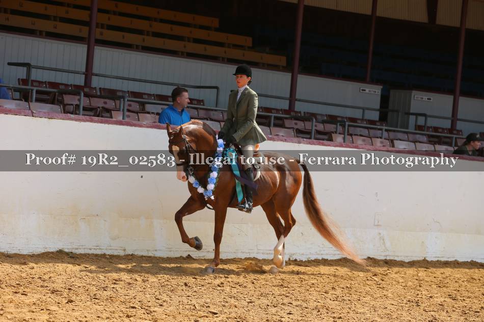 Proof 19R2_02583