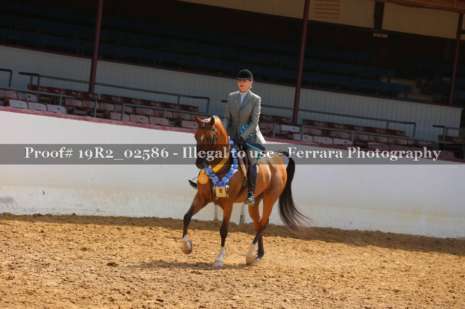 Proof 19R2_02586