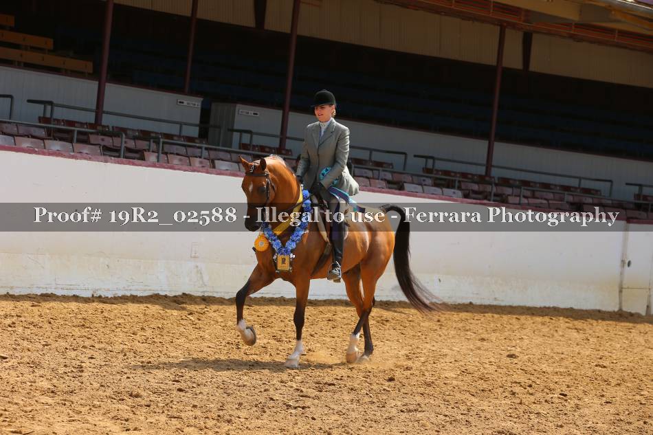 Proof 19R2_02588