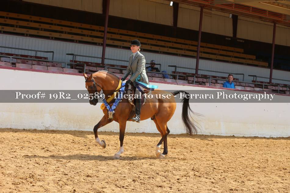 Proof 19R2_02589