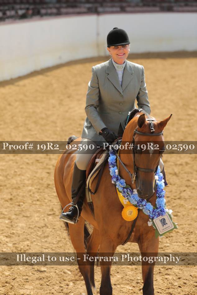 Proof 19R2_02590