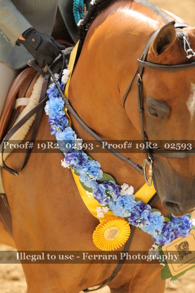 Proof 19R2_02593
